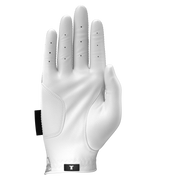 Artic Frost Glove